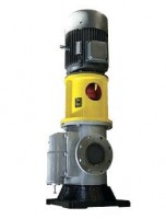 vertical twin screw pump